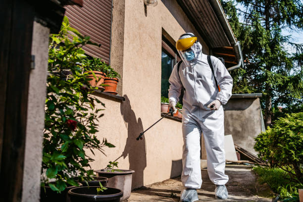 Best Affordable Pest Control Services  in Huron, CA