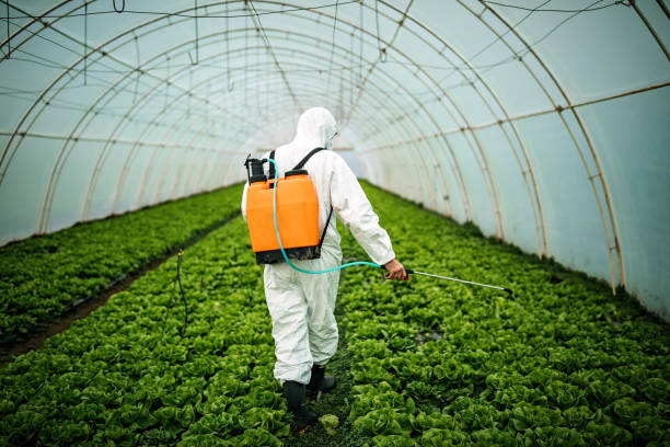 Best Residential Pest Control  in Huron, CA