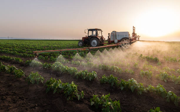 Best Pest Removal Services  in Huron, CA