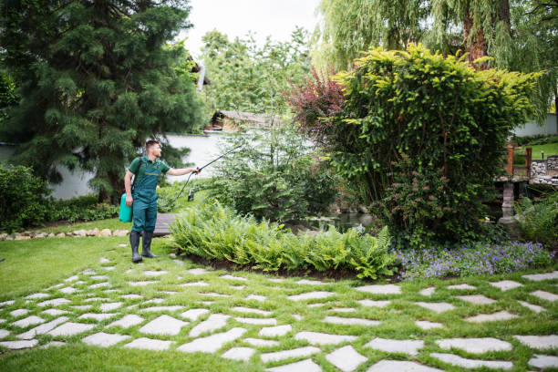 Best Residential Pest Control  in Huron, CA