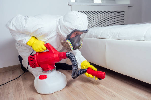 Best Local Pest Control Services  in Huron, CA