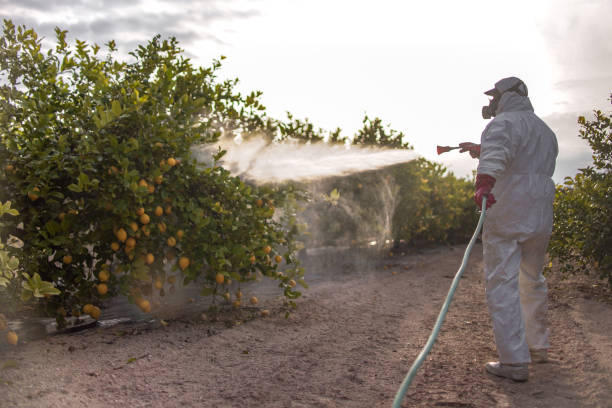 Best Ant Control Services  in Huron, CA