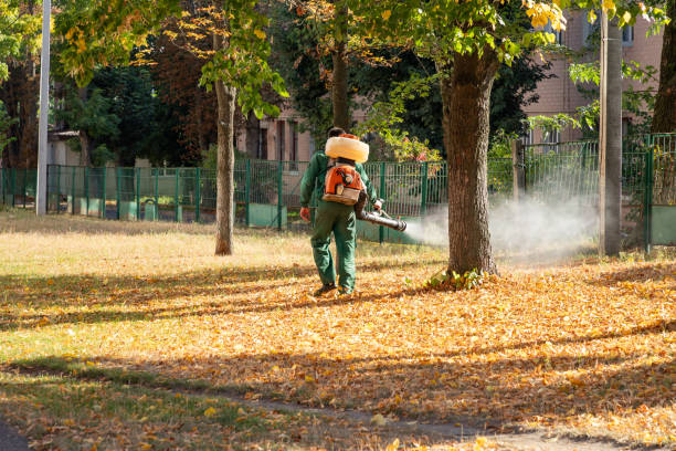 Best Exterminator Services  in Huron, CA