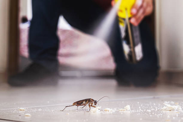 Professional Pest Control in Huron, CA