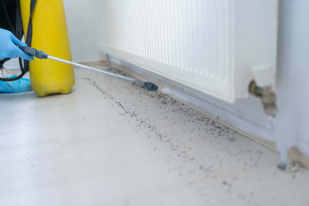 Best Best Pest Control Companies  in Huron, CA