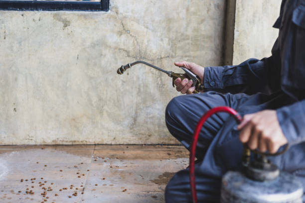 Best Affordable Pest Control Services  in Huron, CA
